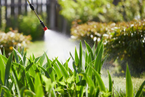 24/7 Emergency Ant Control experts in Palisades Park, NJ